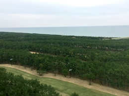 宮崎に行ってきました